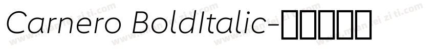 Carnero BoldItalic字体转换